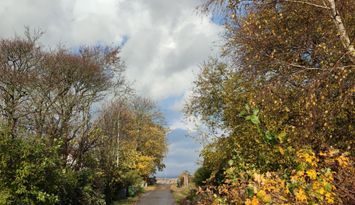 Stuga i Häljaröds hamn, 100 meter från havet