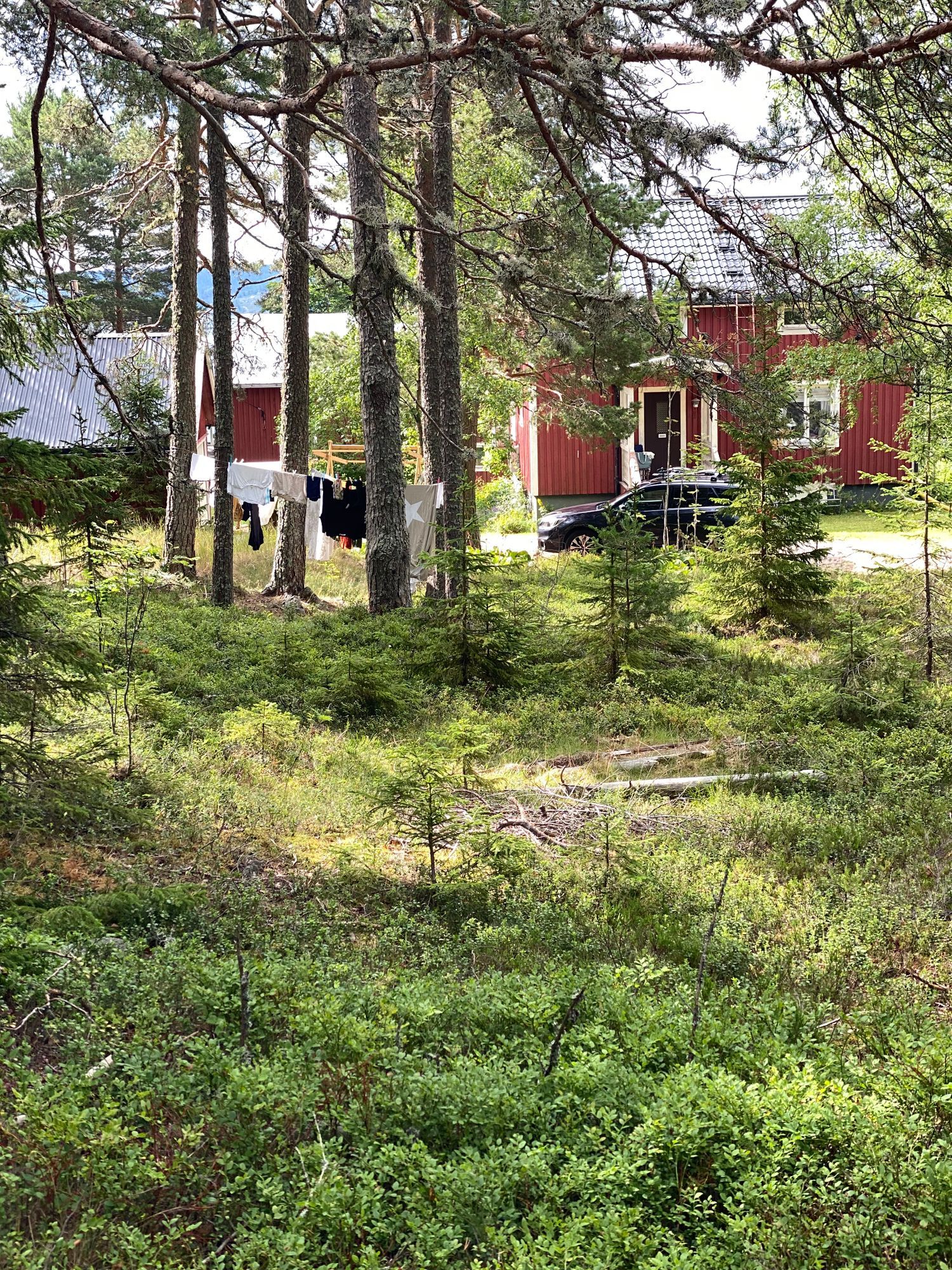 Fullt utrustat hus mitt i Höga kustens kärna – bild 6 av 24