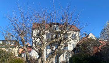 Visby innanför murarna