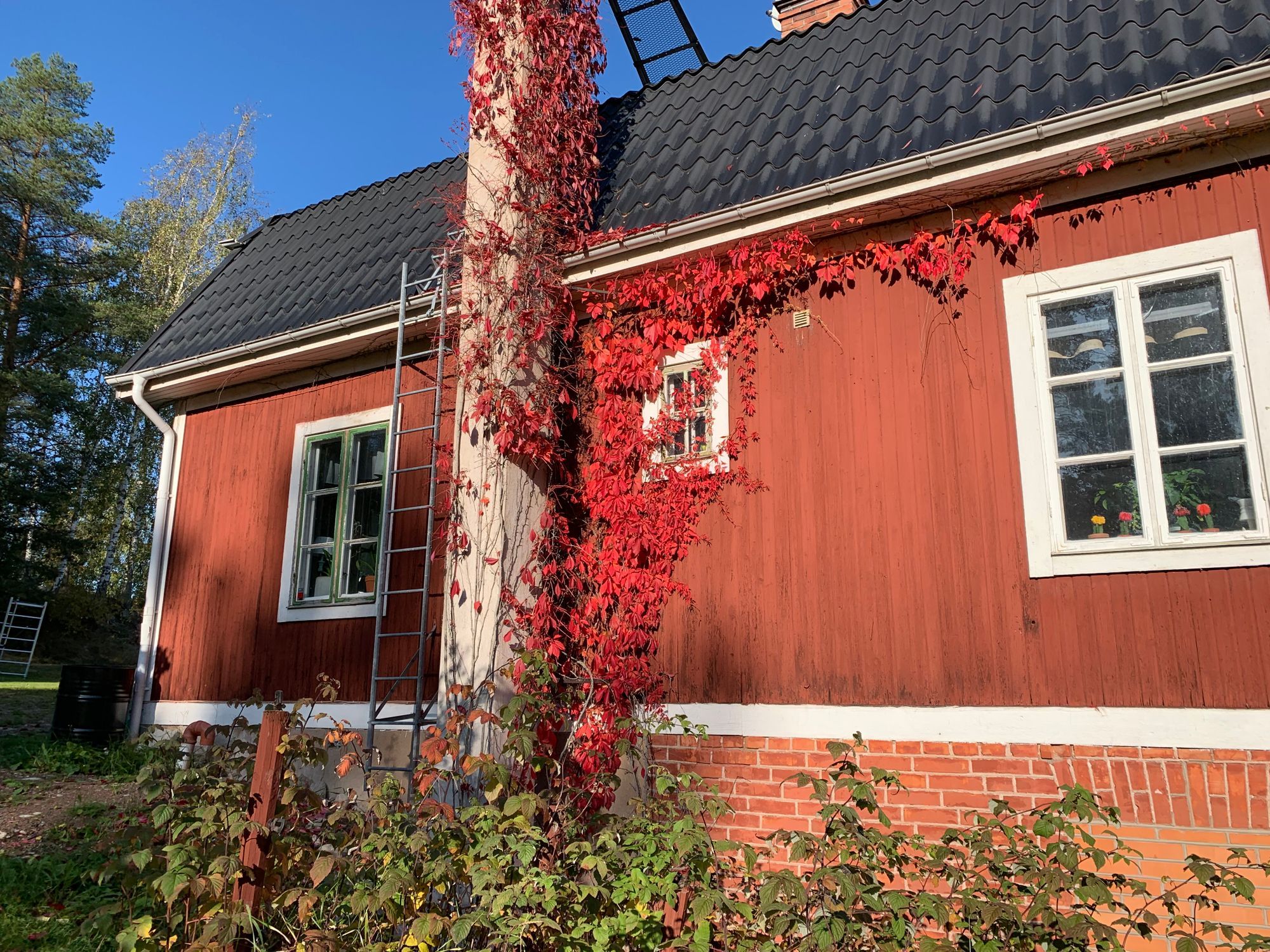 Södra-dalarnas mysigaste bed and breakfast – bild 8 av 21