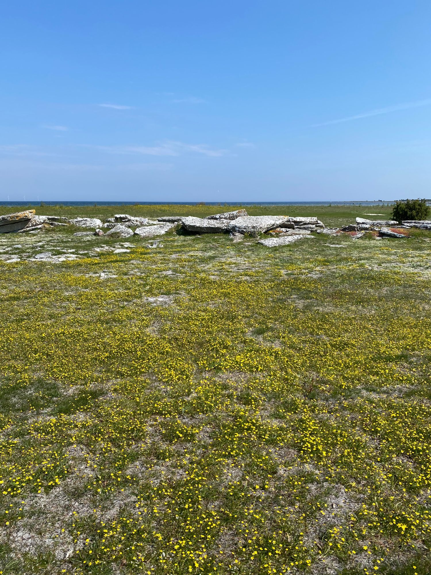 Kårehamn, 1km bad – bild 22 av 22