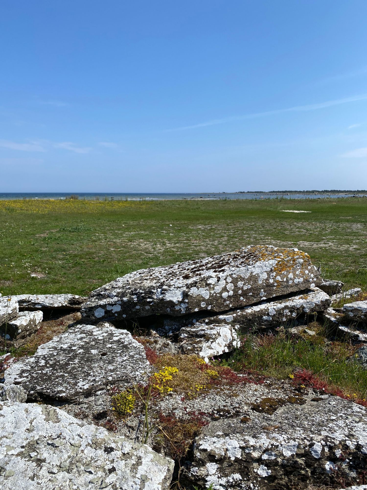Kårehamn, 1km bad – bild 20 av 22