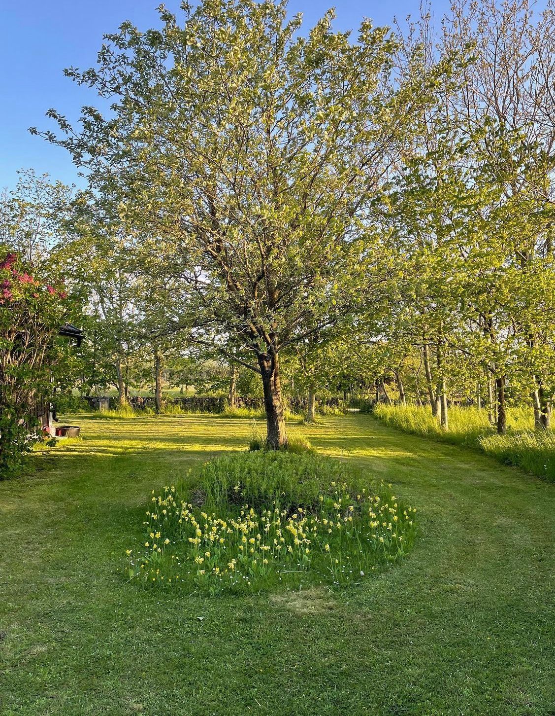 Stuga vid Össby med havsutsikt och enskilt läge – bild 24 av 24