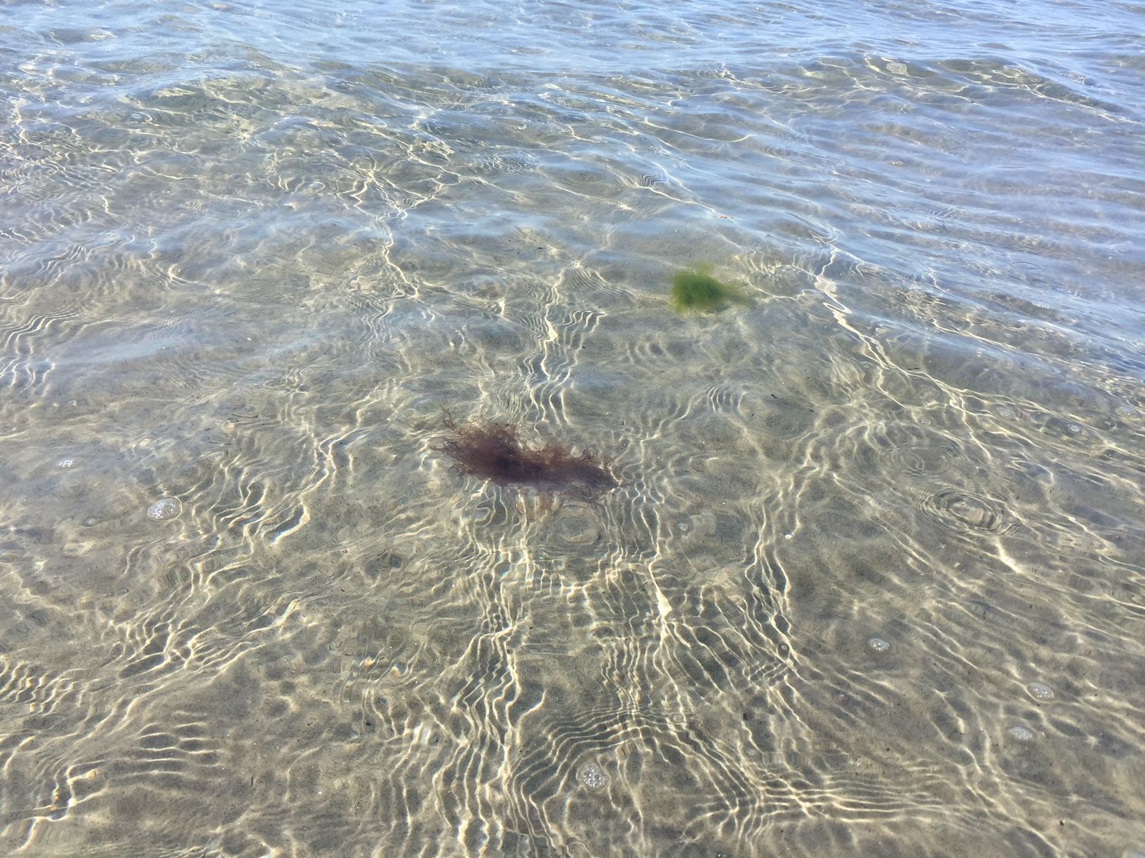 Unikt läge! Stuga på stranden – bild 24 av 24