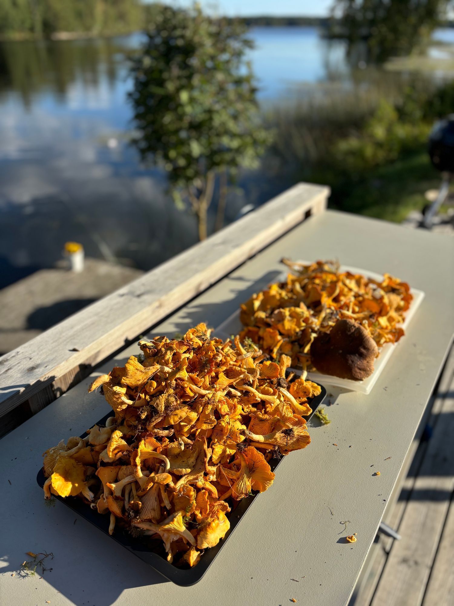 Sommar/vinter – bild 13 av 23