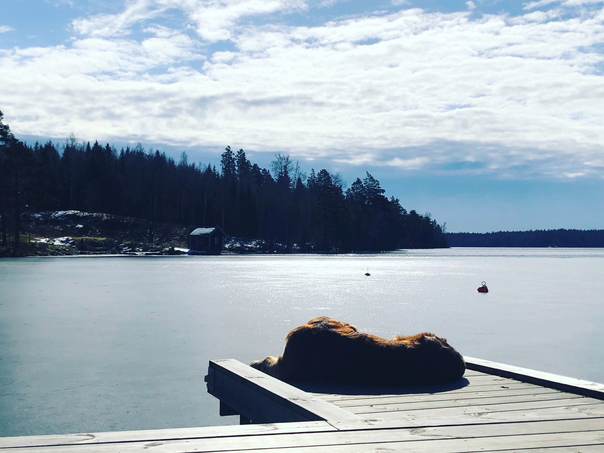 Sommar/vinter – bild 20 av 23