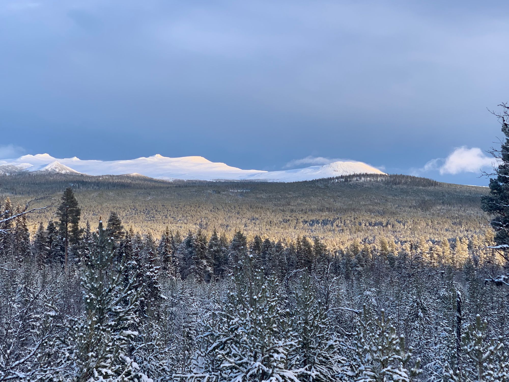 Stuga i Ljusnedal med 8 bäddar #35283 – bild 22 av 23
