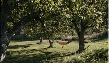 Din "Happy Place" i Trosa Skärgård