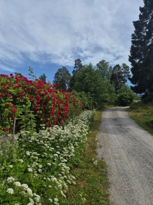 Golfvägen Ingarö, Sjöglimt nära golfbana