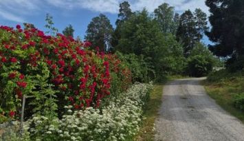 Golfvägen Ingarö, Sjöglimt nära golfbana