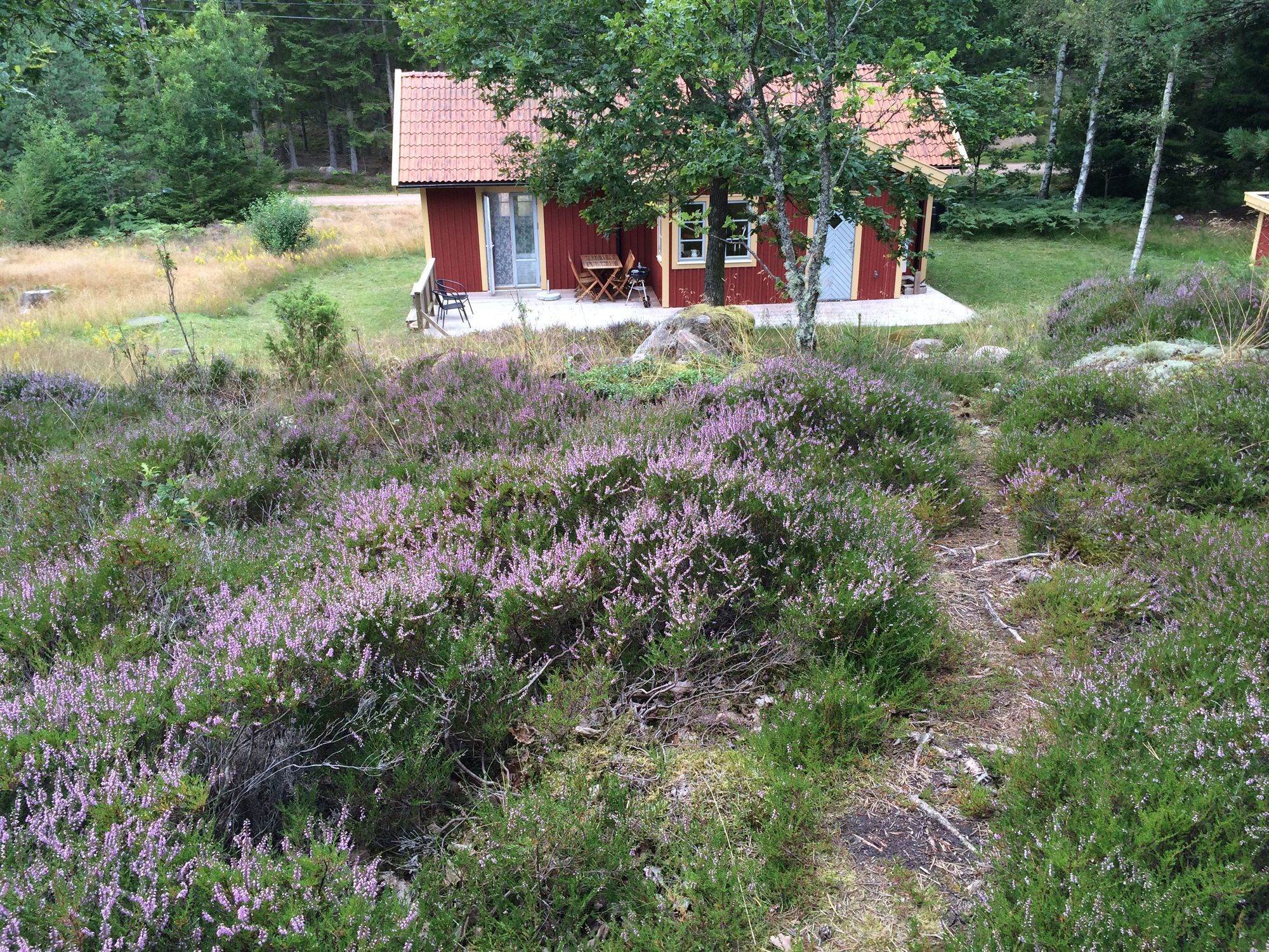 Stuga, Orust, Bohuslän, lugnt läge, skog, havsnära – bild 14 av 23