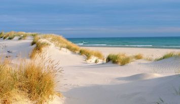Hus i Gnisvärd bredvid fin badstrand Tofta