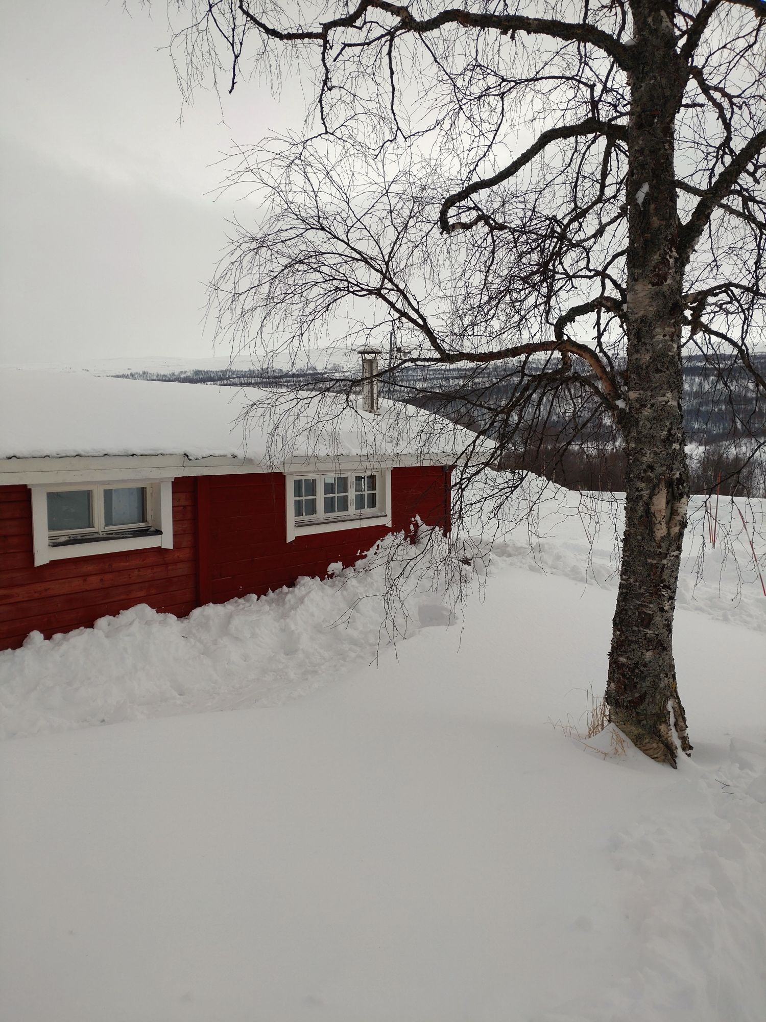 Stuga i ström med 2 bäddar #31409 – bild 10 av 11
