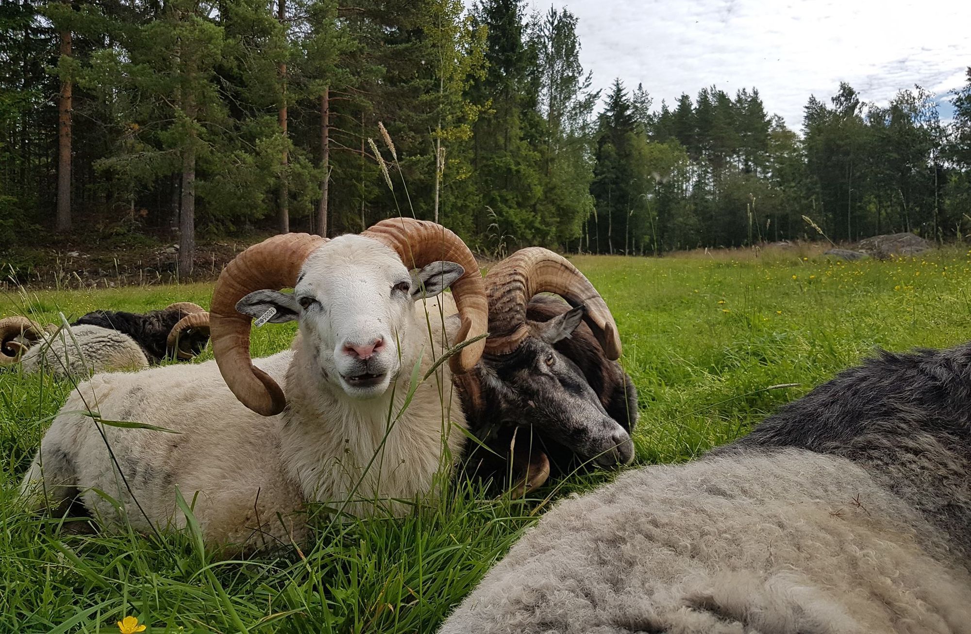Torp med högt, tyst & soligt läge – bild 18 av 24