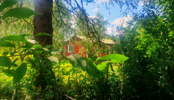 Semesterhus i vackra historiska Ångermanland