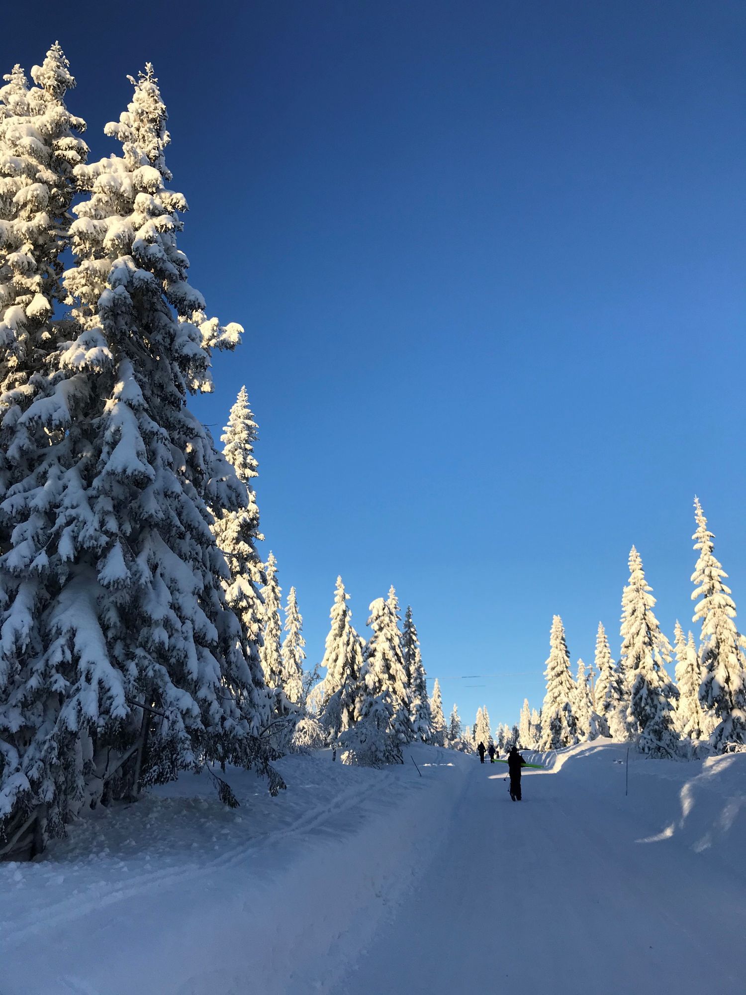 Sommar på Hemfjällstangen! – bild 10 av 11