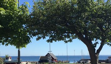 Havsutsikt i Rammsjöstrand