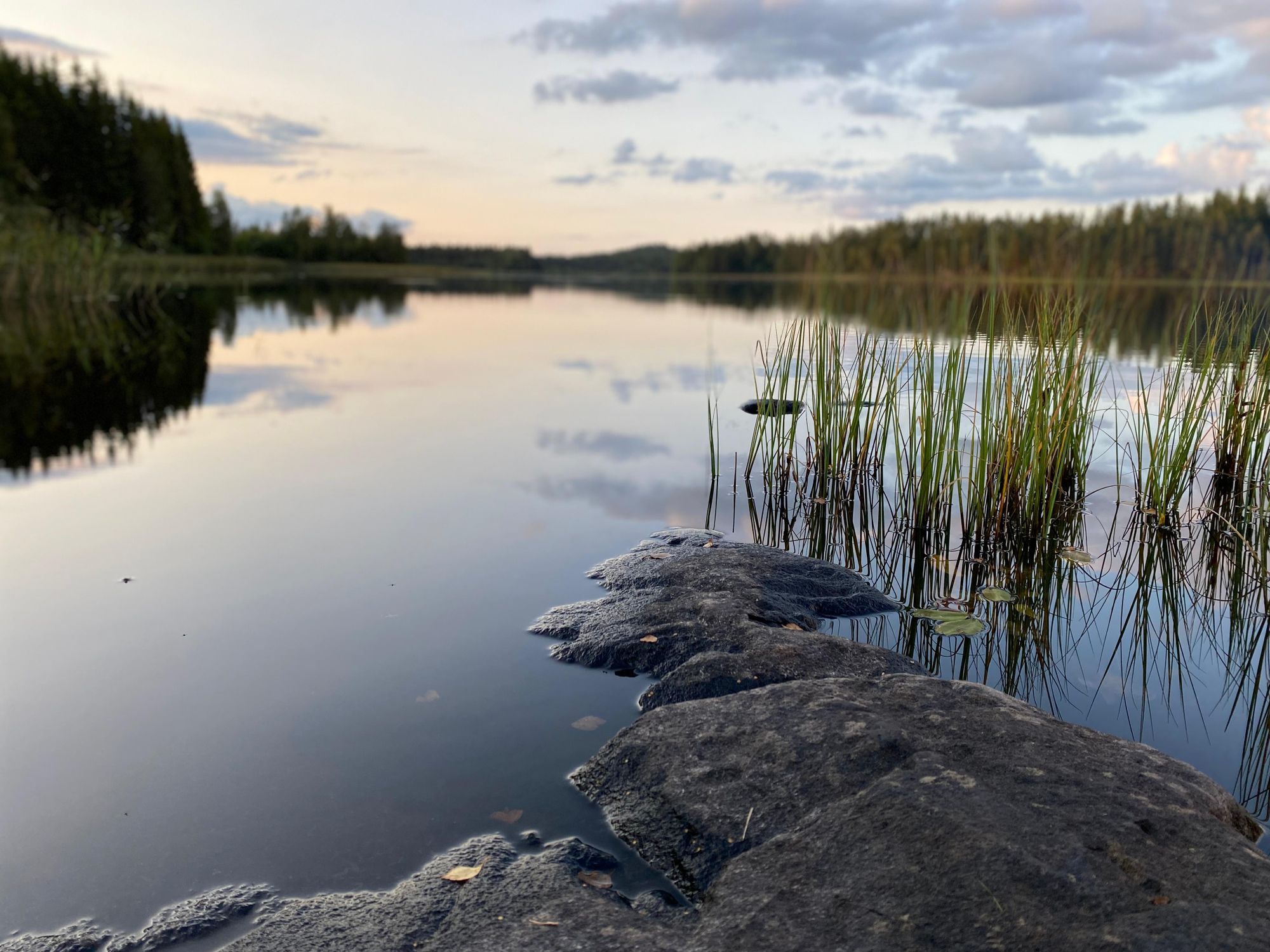 Vackert sjöläge - egen park, strand, brygga & båt – bild 16 av 19