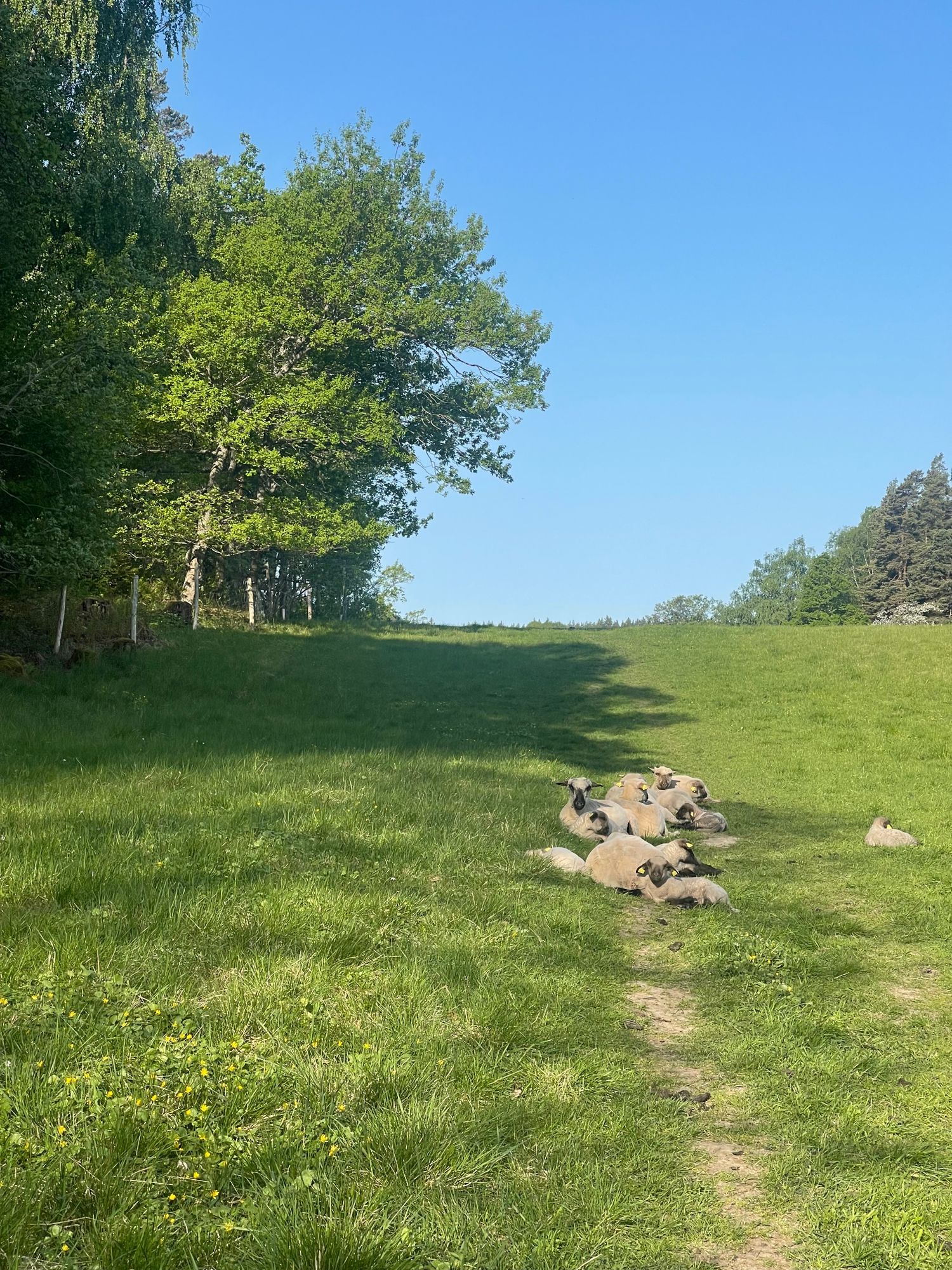 Naturskönt skärgårdsboende, Vaxholm – bild 13 av 14