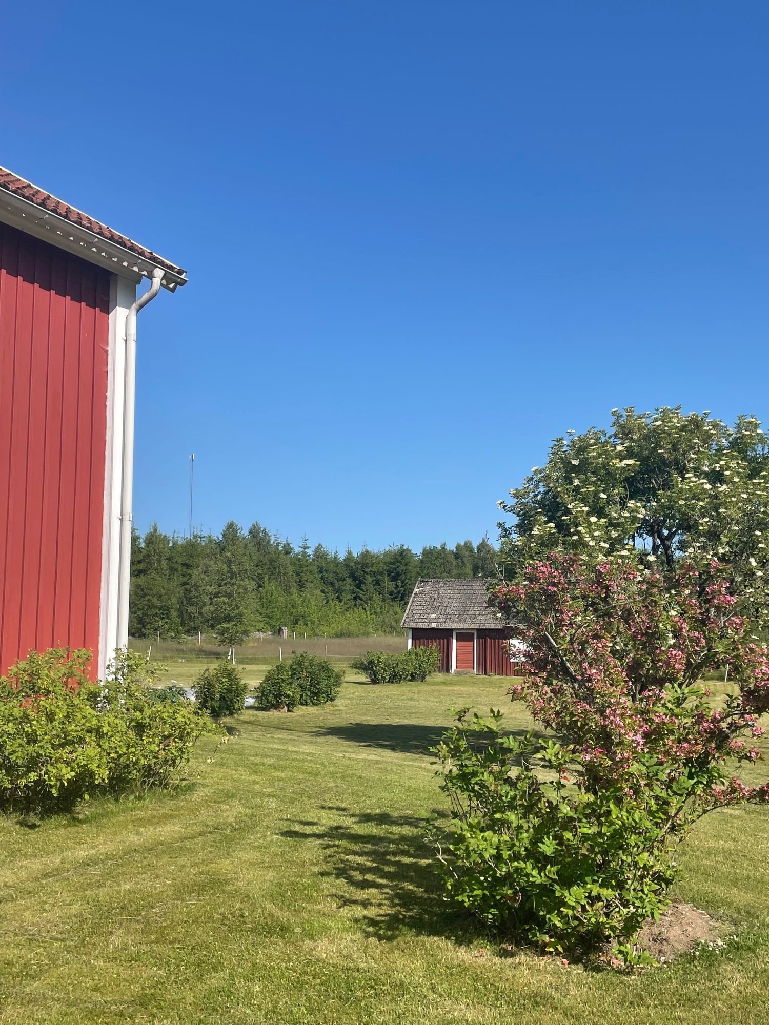 Mysig gård på landet i Tingsryd – bild 3 av 9