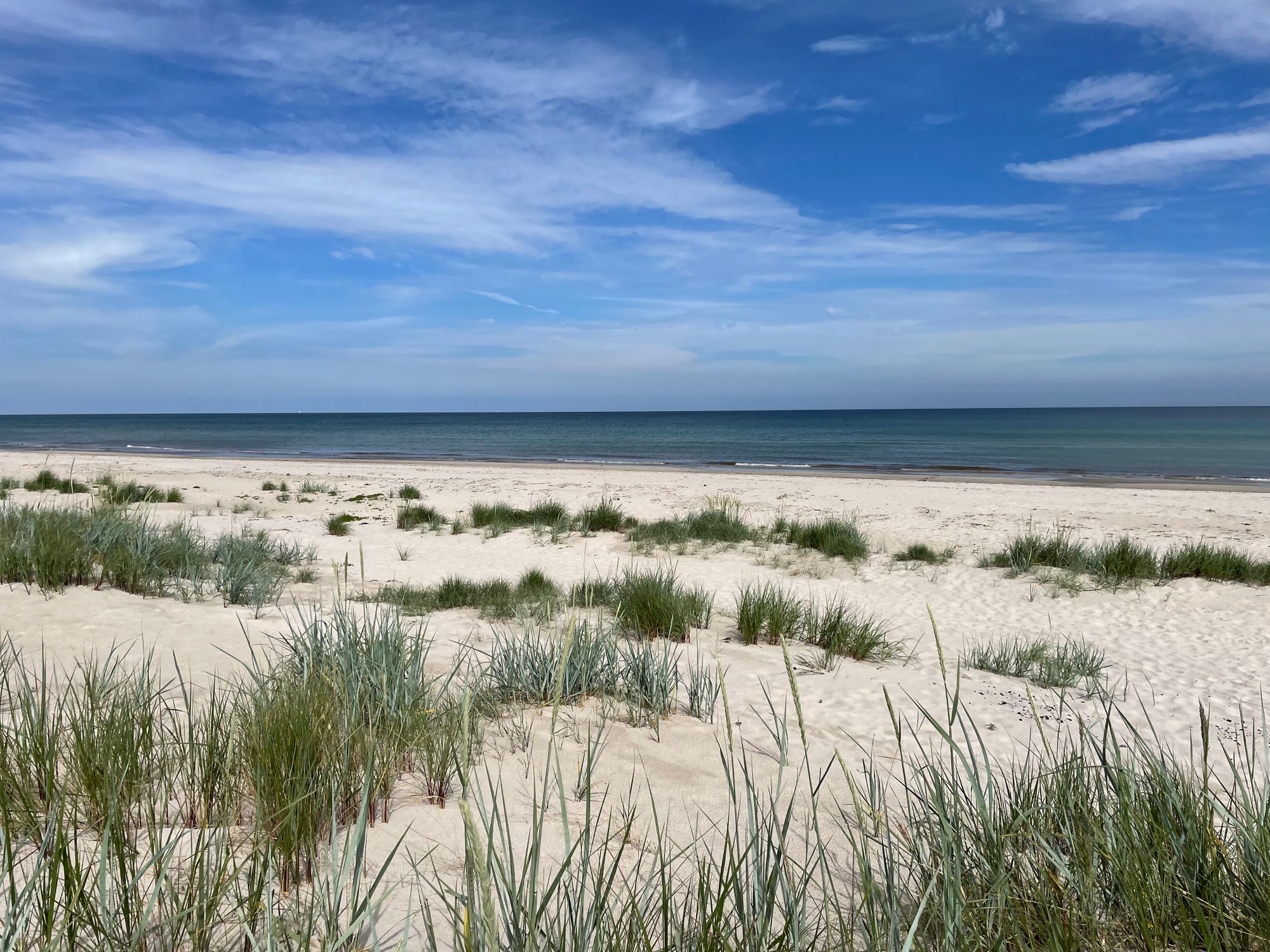 Stuga vid havet för många – bild 13 av 22