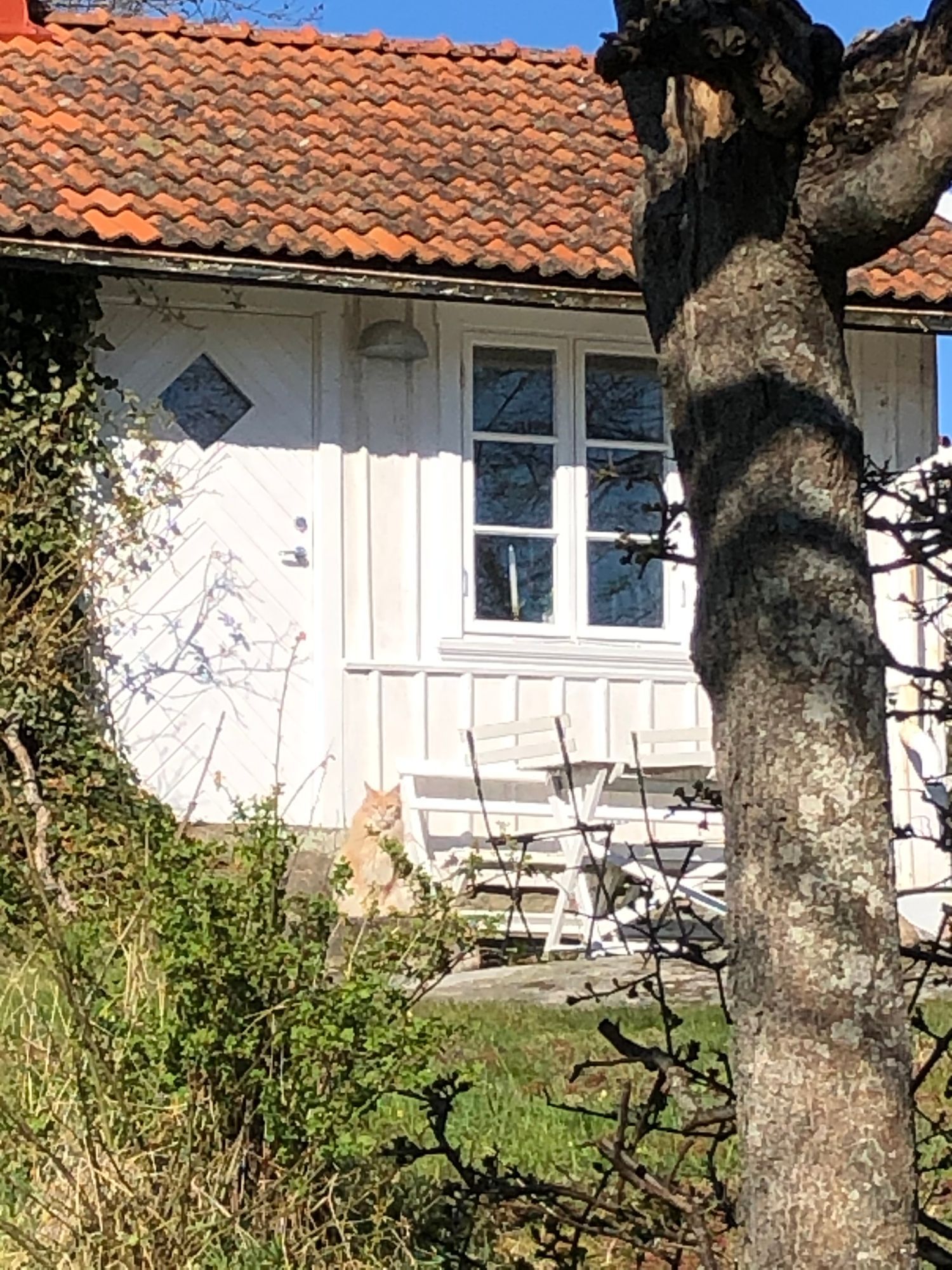Bohus-Björkö