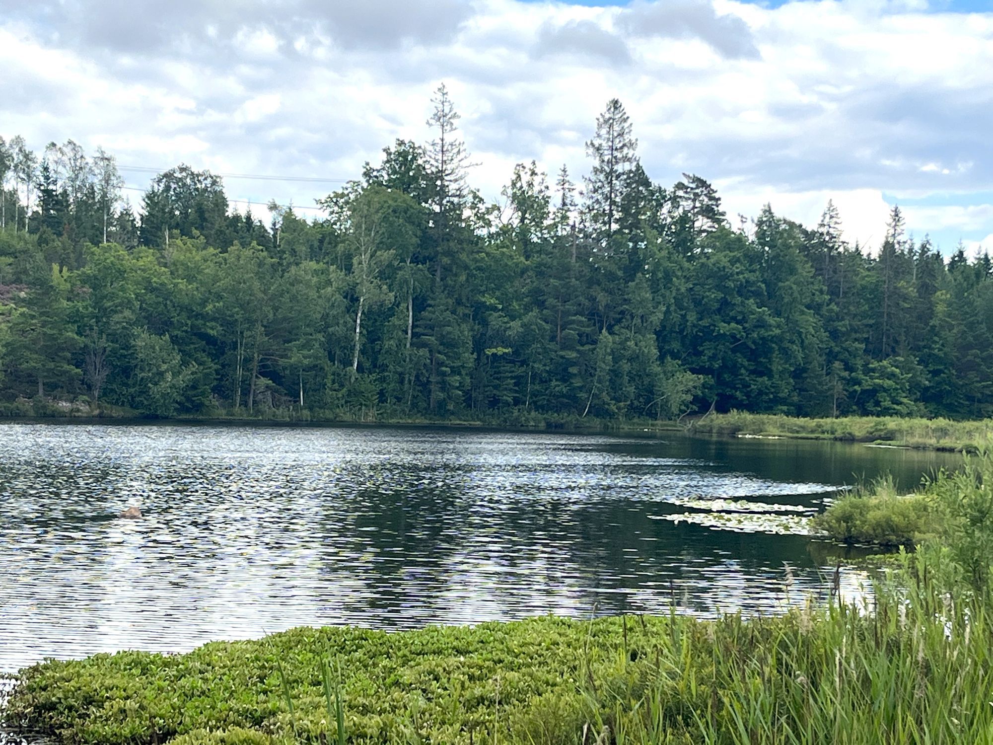 Familjevänligt rymligt hus vid sjö och skog. – bild 4 av 24