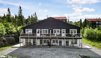 Mysigt fjällboende i Åre Björnen