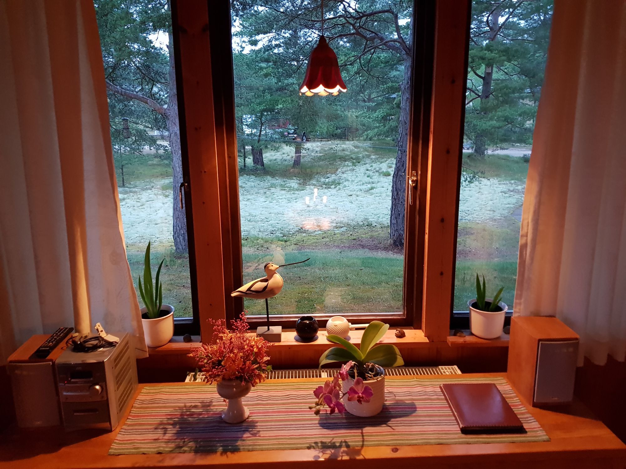 Furuboda 70 kvm, 8 bäddar, 300 meter till stranden – bild 21 av 24