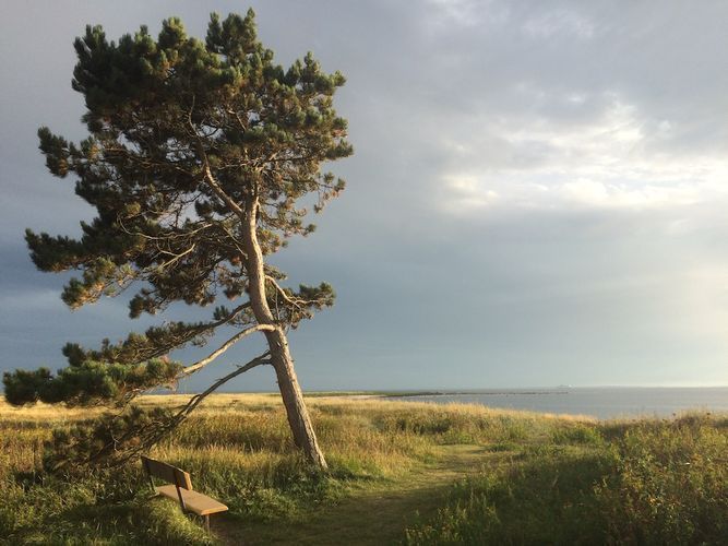 Soligt boende i Kullabygden nära strand och natur – bild 9 av 22
