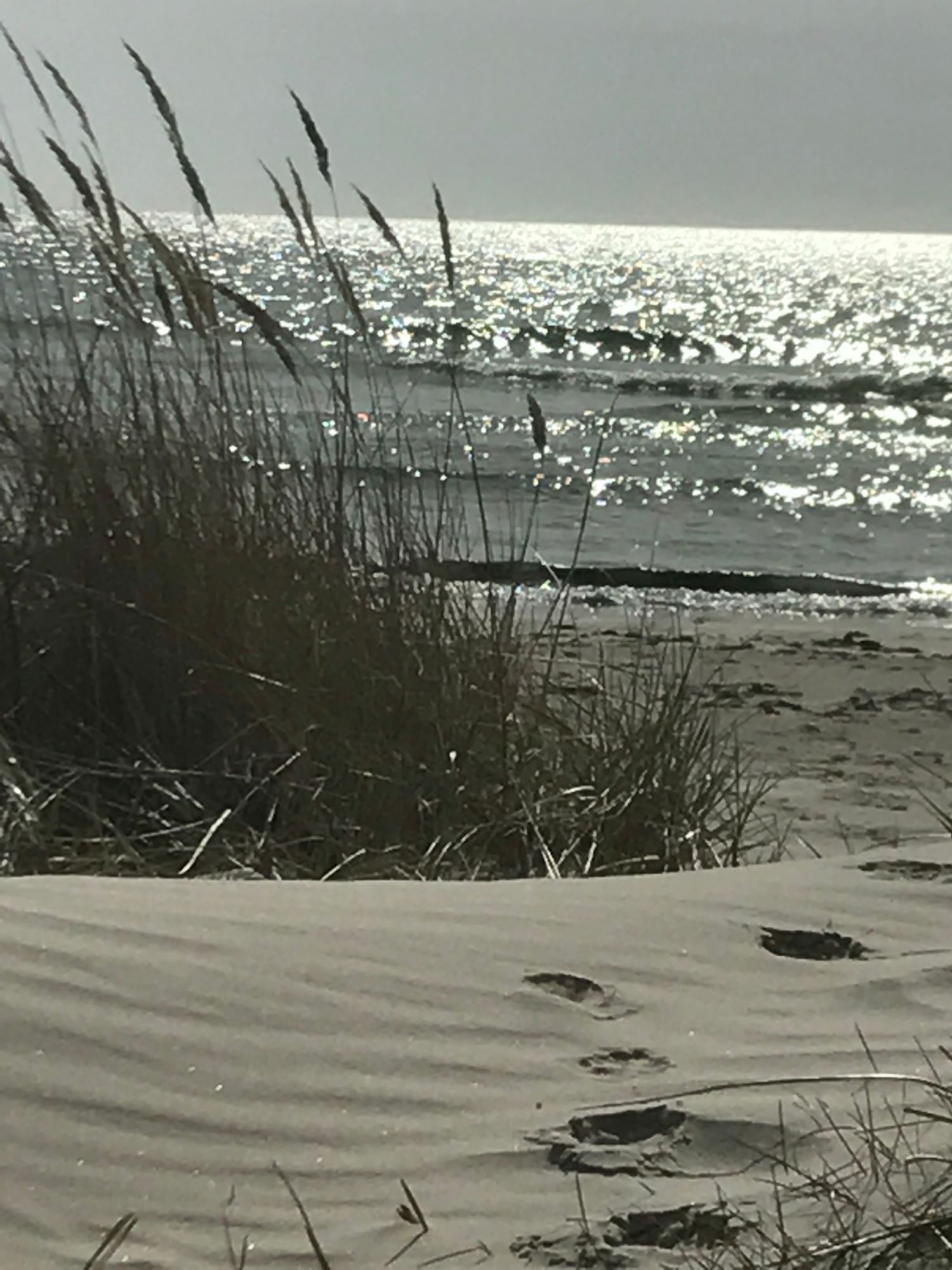 Underbara Fårö, 800 m från Sudersand stranden – bild 9 av 14