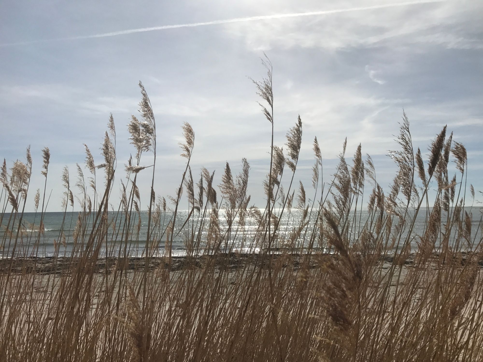 Underbara Fårö, 800 m från Sudersand stranden – bild 14 av 14