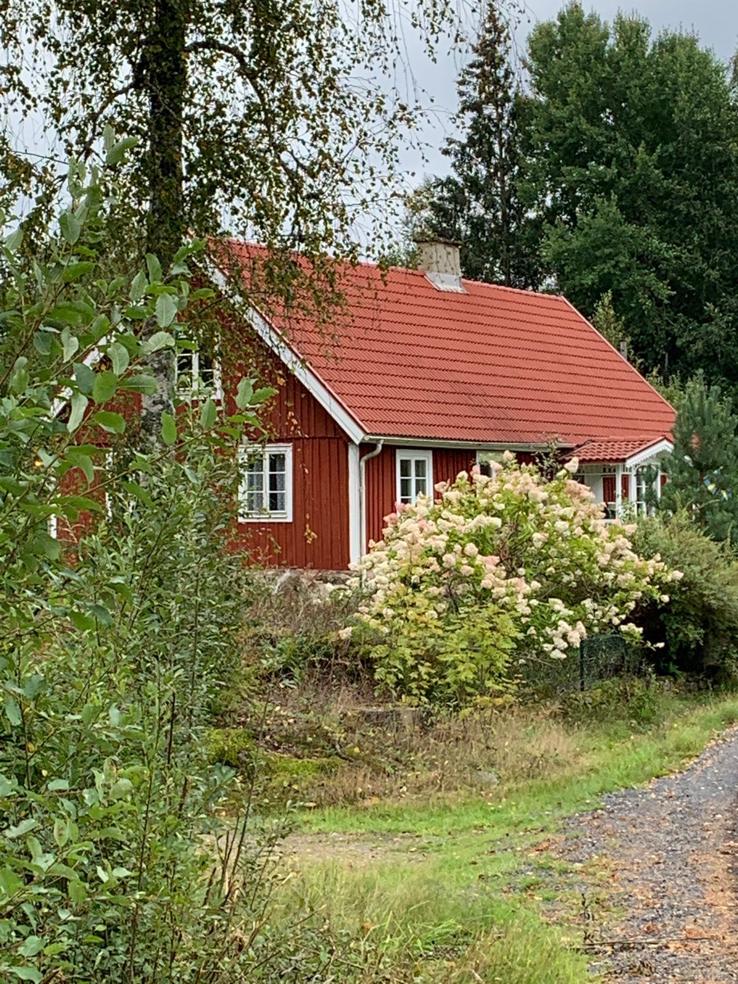 Torp från slutet på 1800-talet i Skånska skogarna – bild 17 av 18