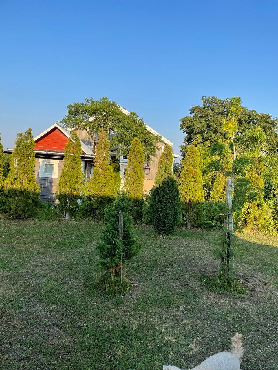 9 min Gnisvärd,Tofta. Nära Visby & djurpark – bild 20 av 24