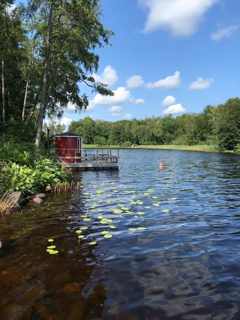 Stuga i idyllisk skogsmiljö – bild 24 av 24