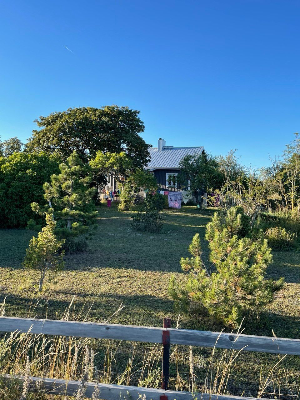 9 min Gnisvärd,Tofta. Nära Visby & djurpark – bild 21 av 24