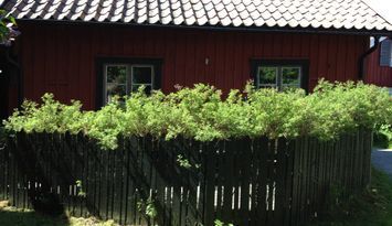 Sandhamn