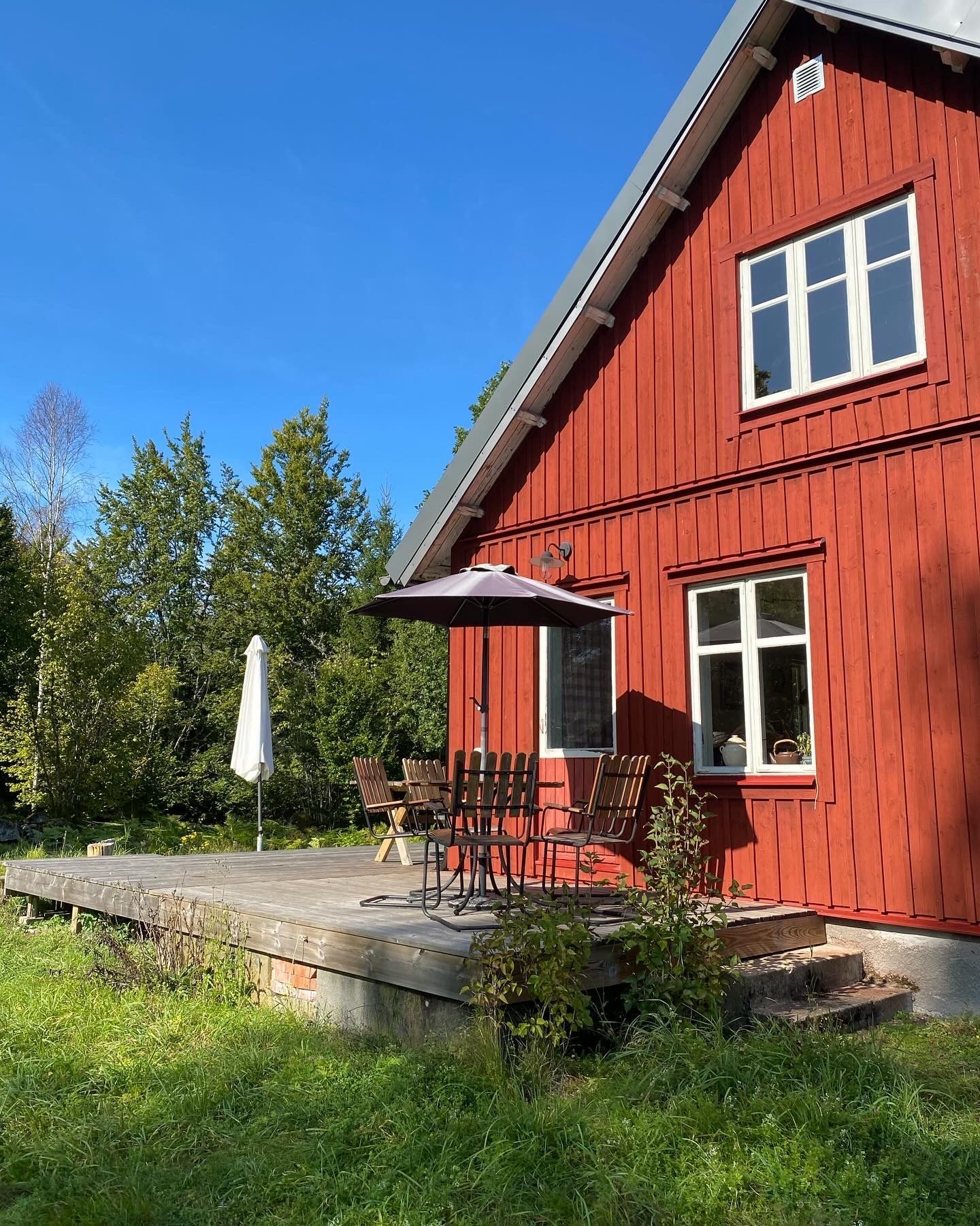 Skogsgård – bild 22 av 24