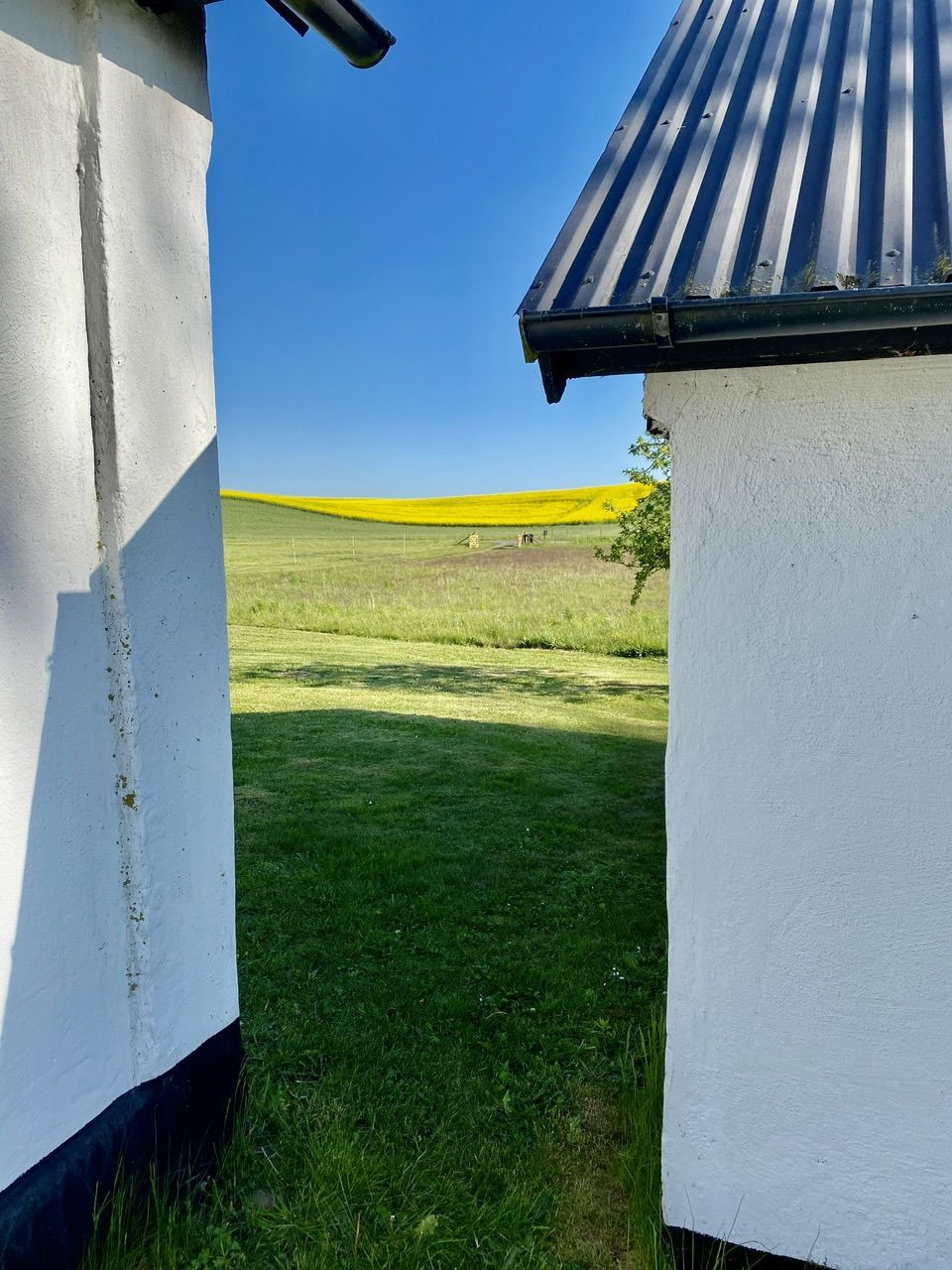 Gård nära Ale Stenar och havet – bild 5 av 19