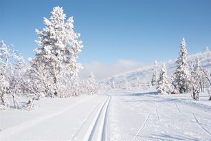 Storhogna - 100 m von der Piste und Restaurant
