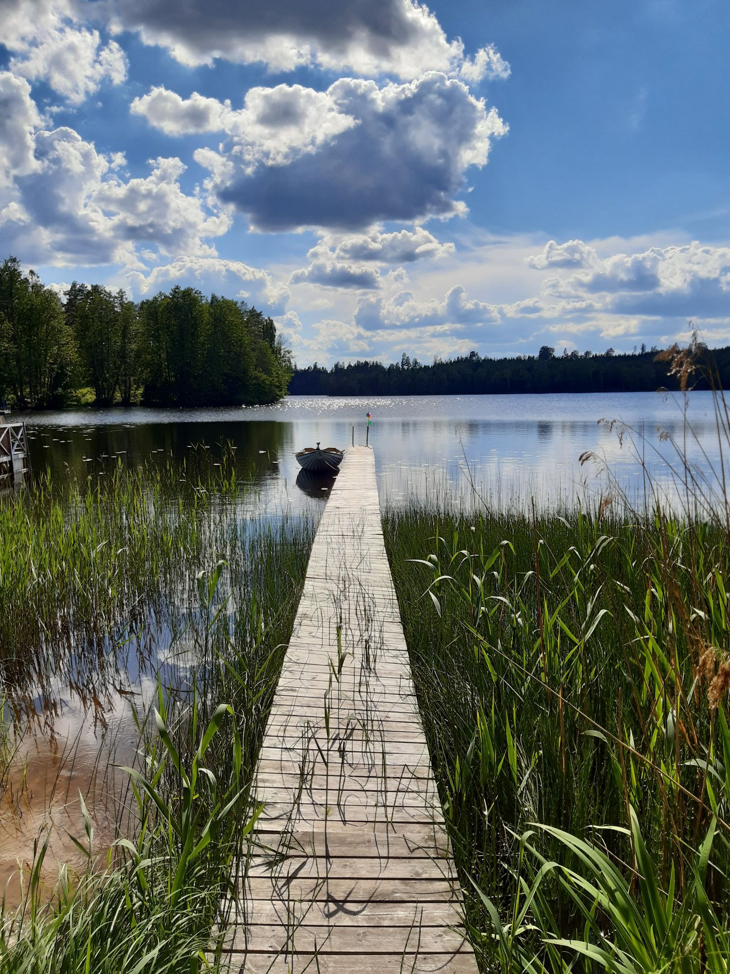 Ett litet paradis 27 km från Kolmårdens djurpark – bild 6 av 24