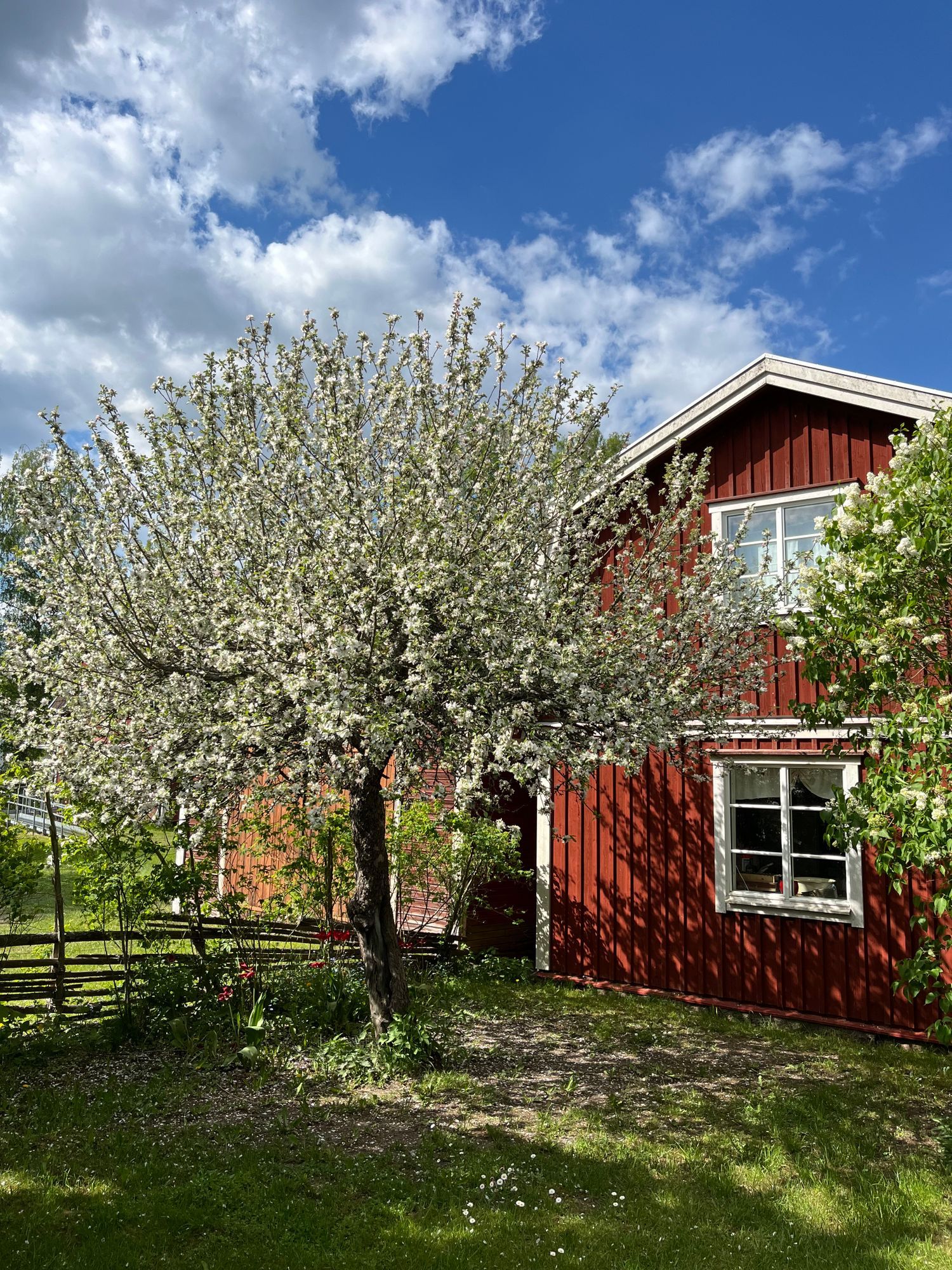 Smålandsvilla – bild 8 av 24