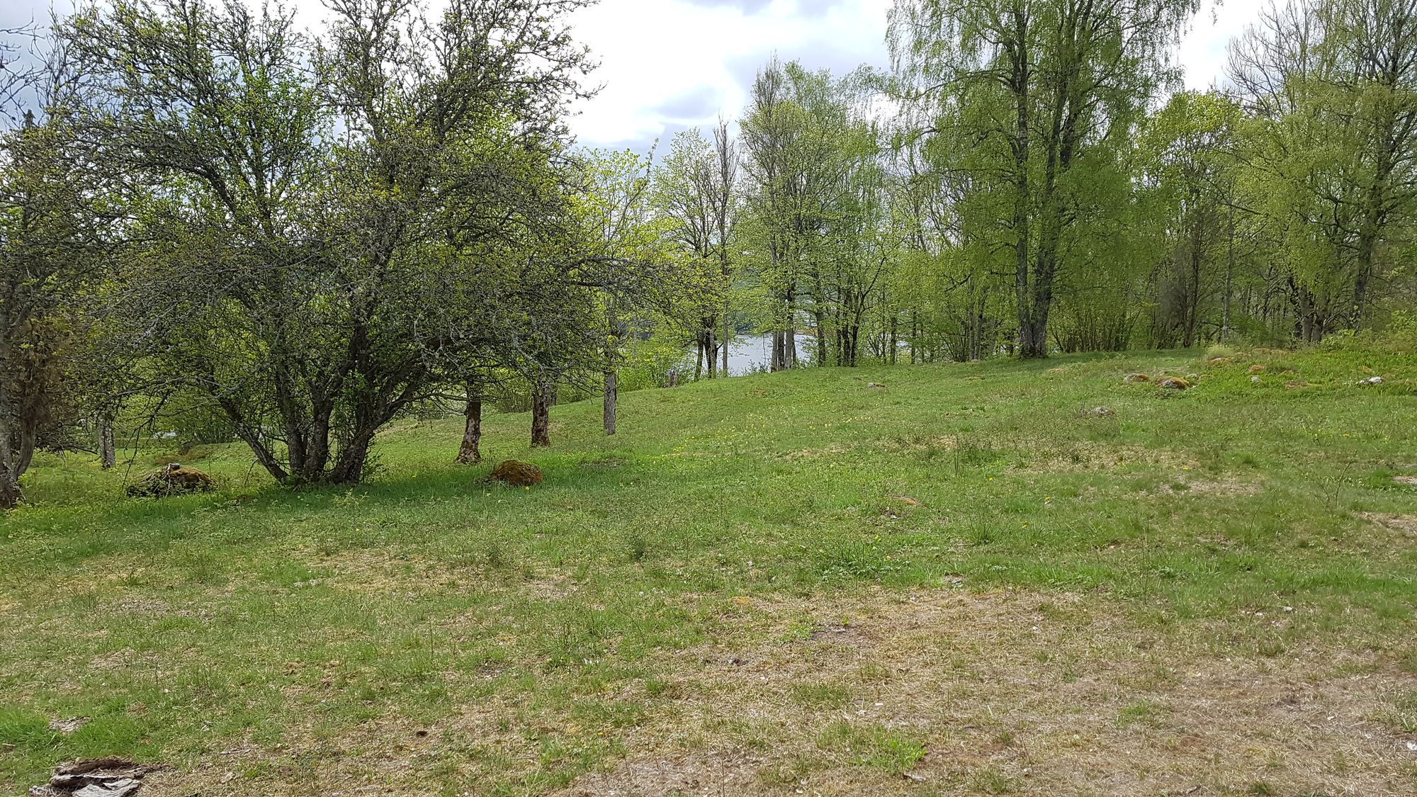 En mysig stuga mitt i ett naturreservat i Dalsland – bild 22 av 24