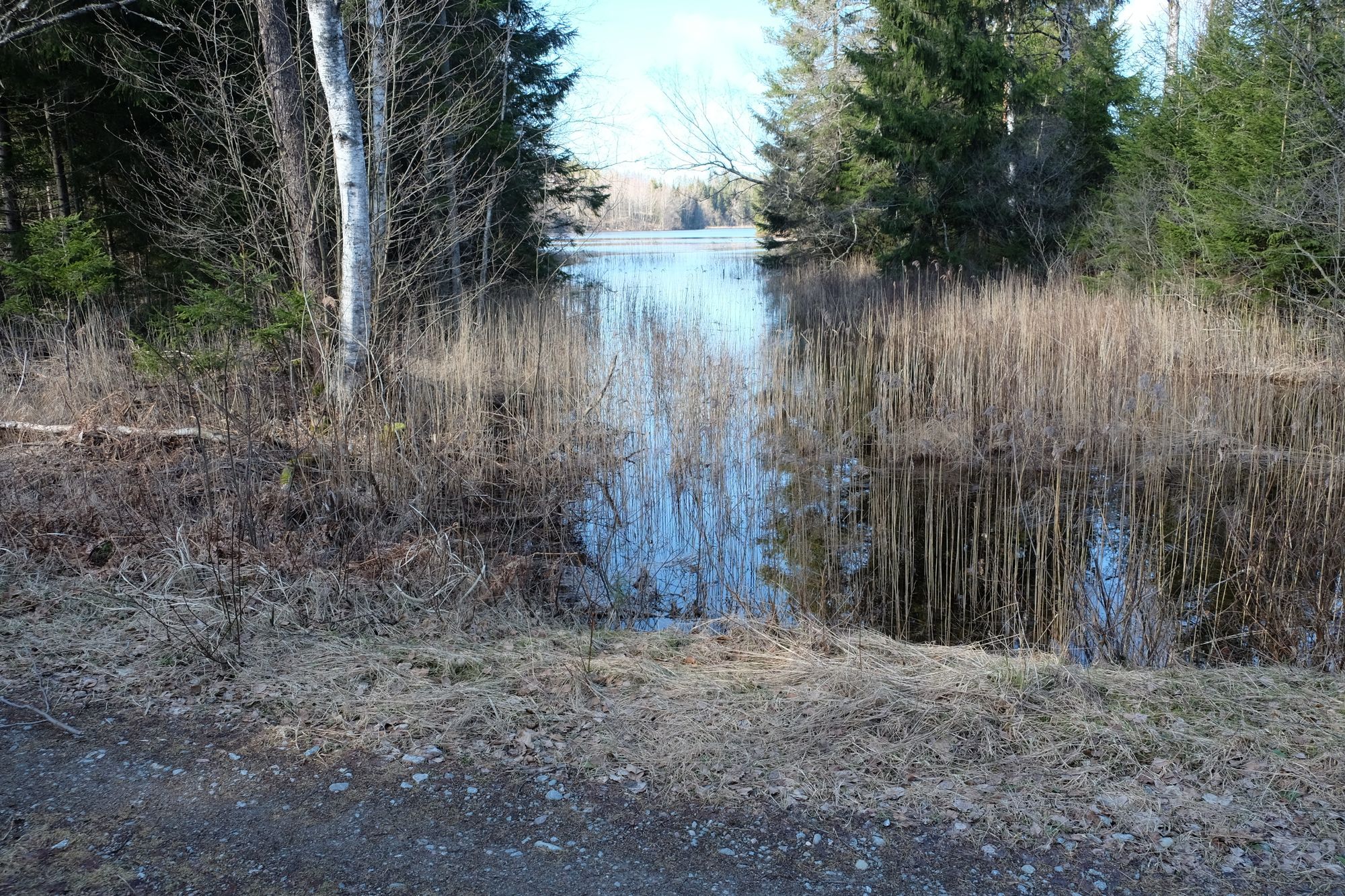 Hemtrevligt hus mitt i skogen nära egen sjö – bild 19 av 20