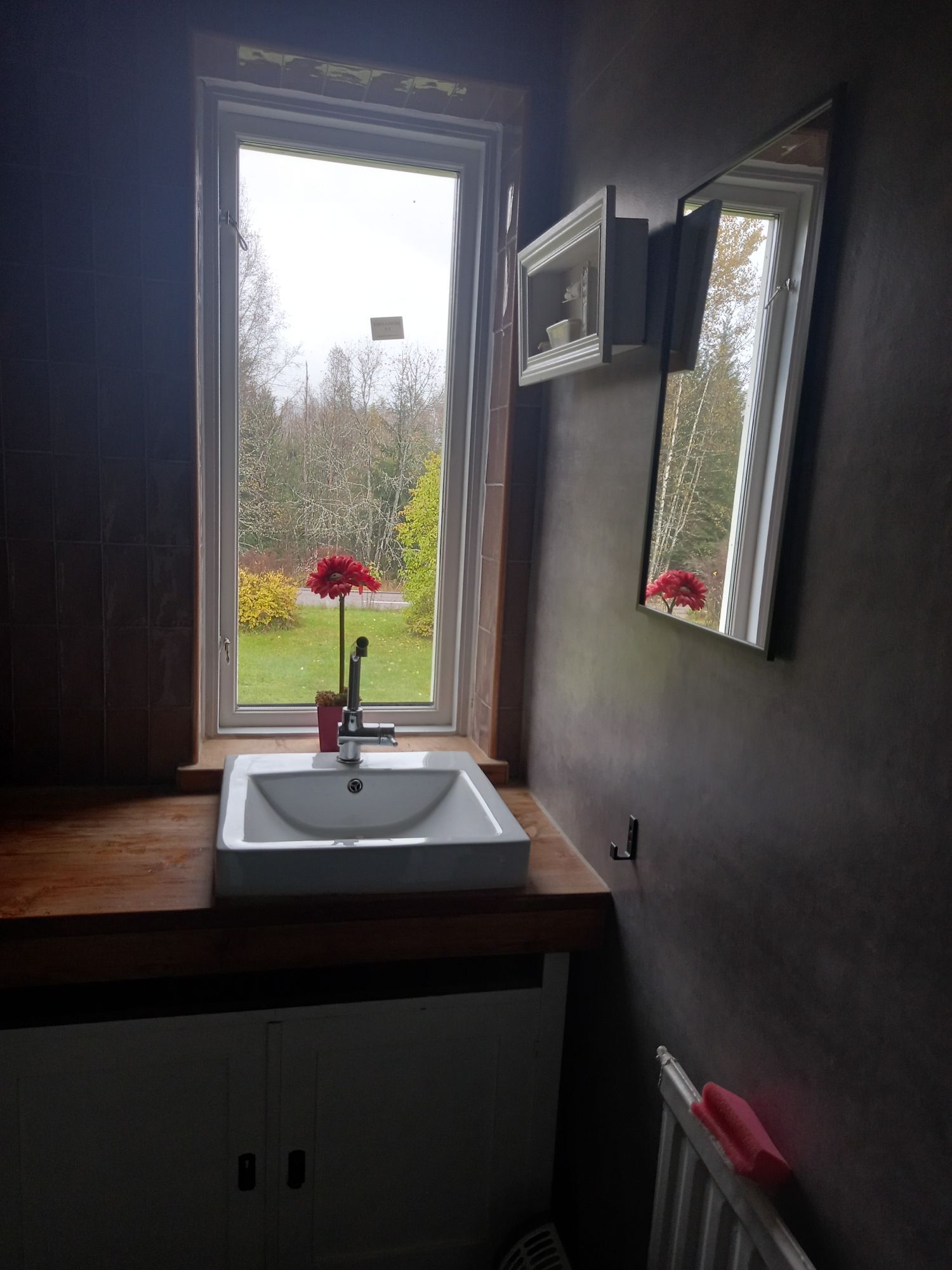 Hundvänligt hus nära sjön, inhägnat Värmland – bild 21 av 24