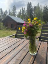 Bright and spacious on the outskirts of Särna