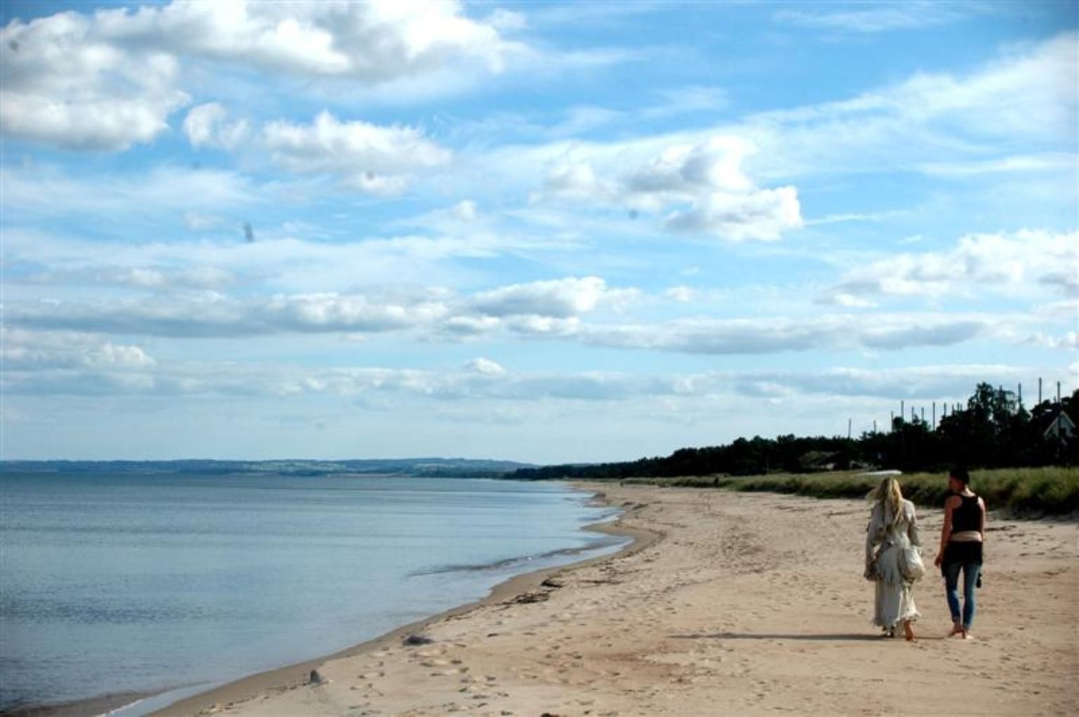 Furuboda 70 kvm, 8 bäddar, 300 meter till stranden – bild 2 av 24