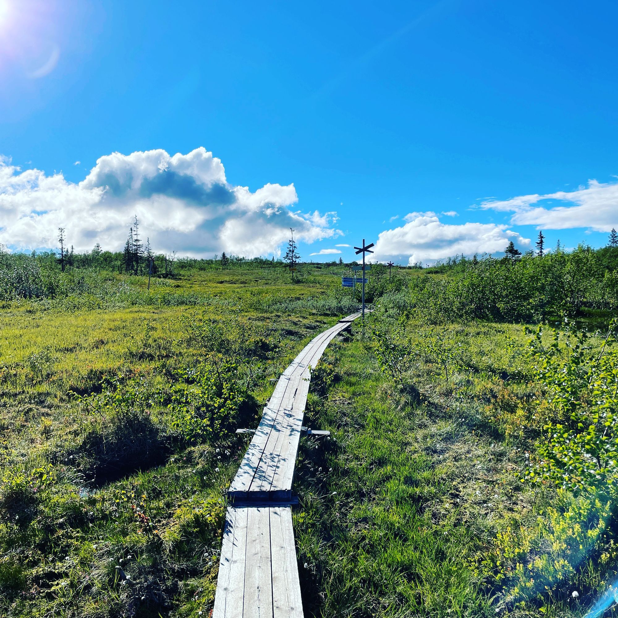 Stuga i Storhogna med 6 + 1 bäddar #29649 – bild 22 av 24