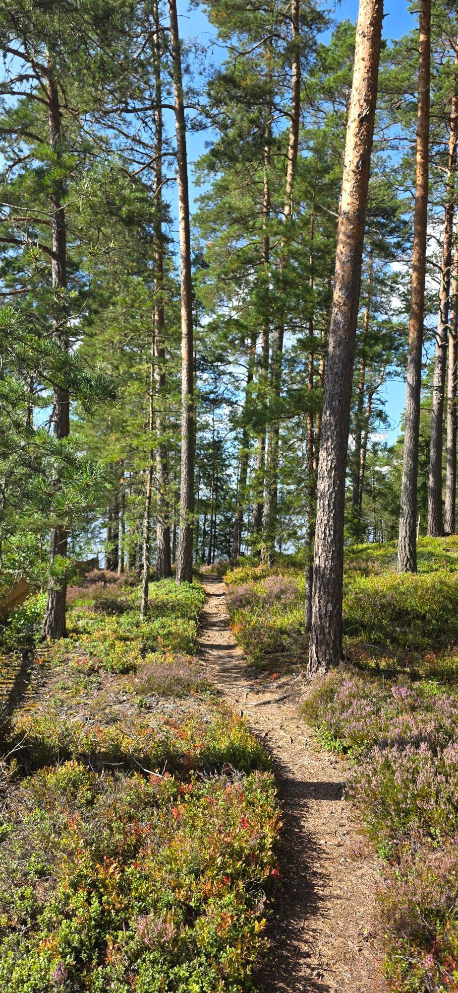 Ett genuint hus med hjärta, nära sjön & kanot – bild 17 av 20