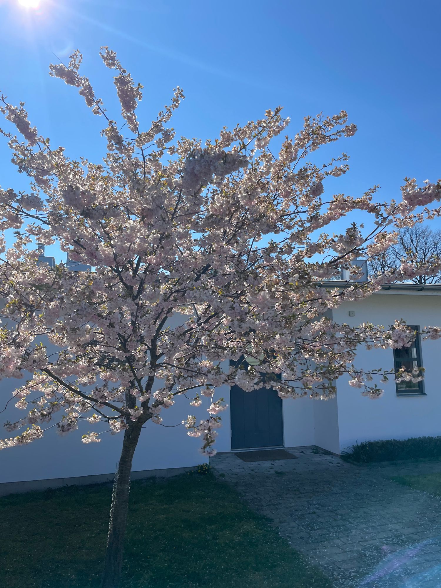 Smakfullt boende i centrala Borgholm – bild 4 av 24